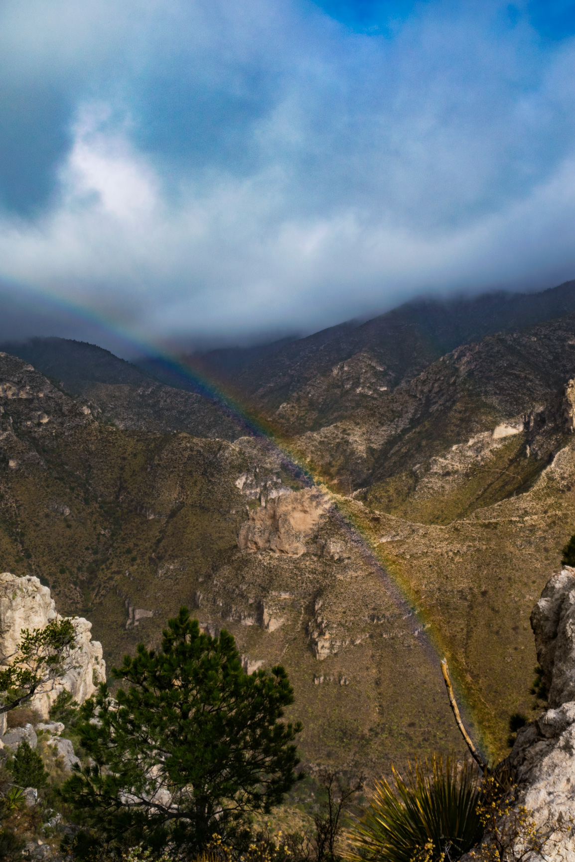 DSC_4692-HDR.jpg